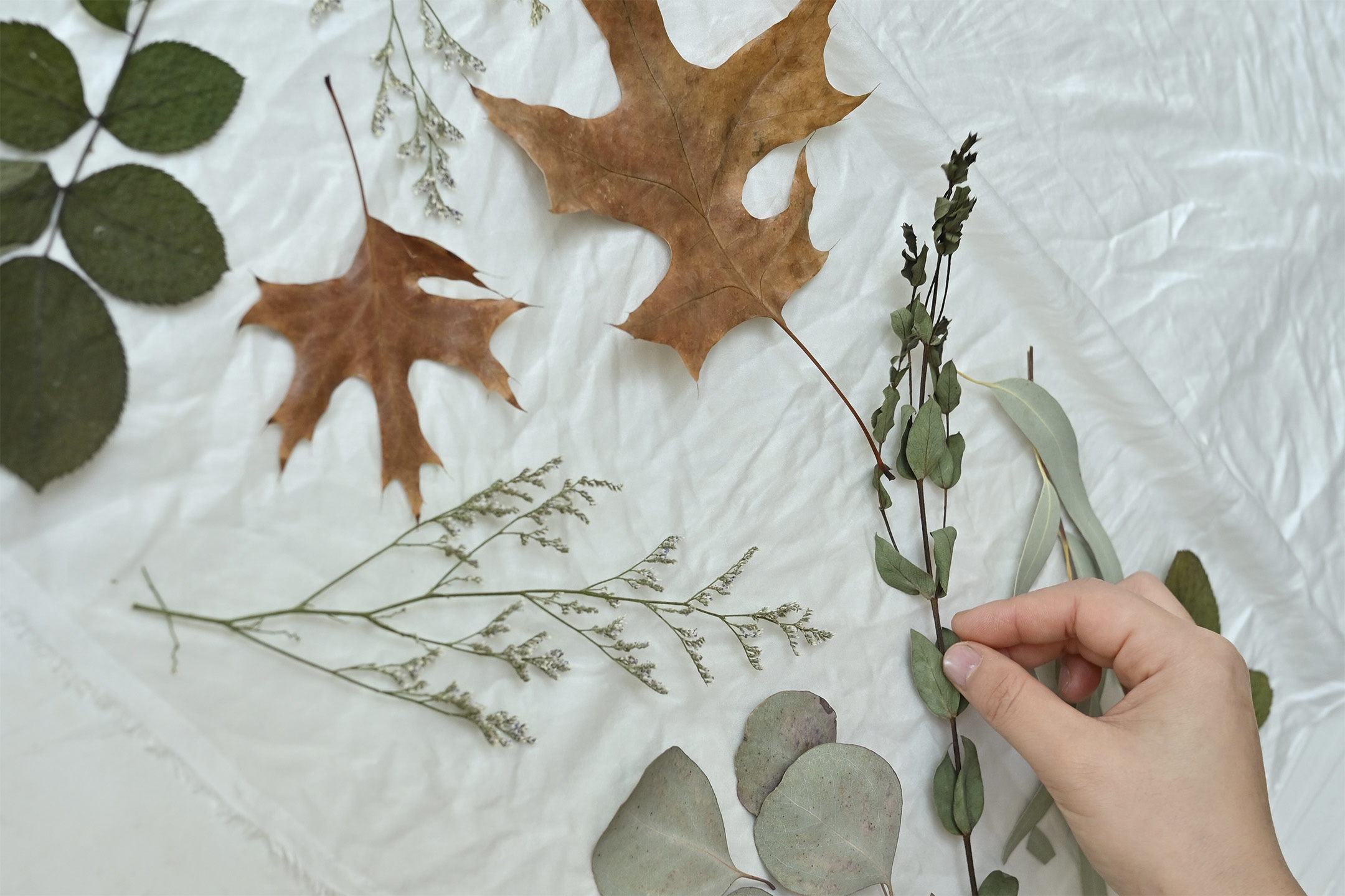Botanical materials arranged by hand on a textile during the making process.